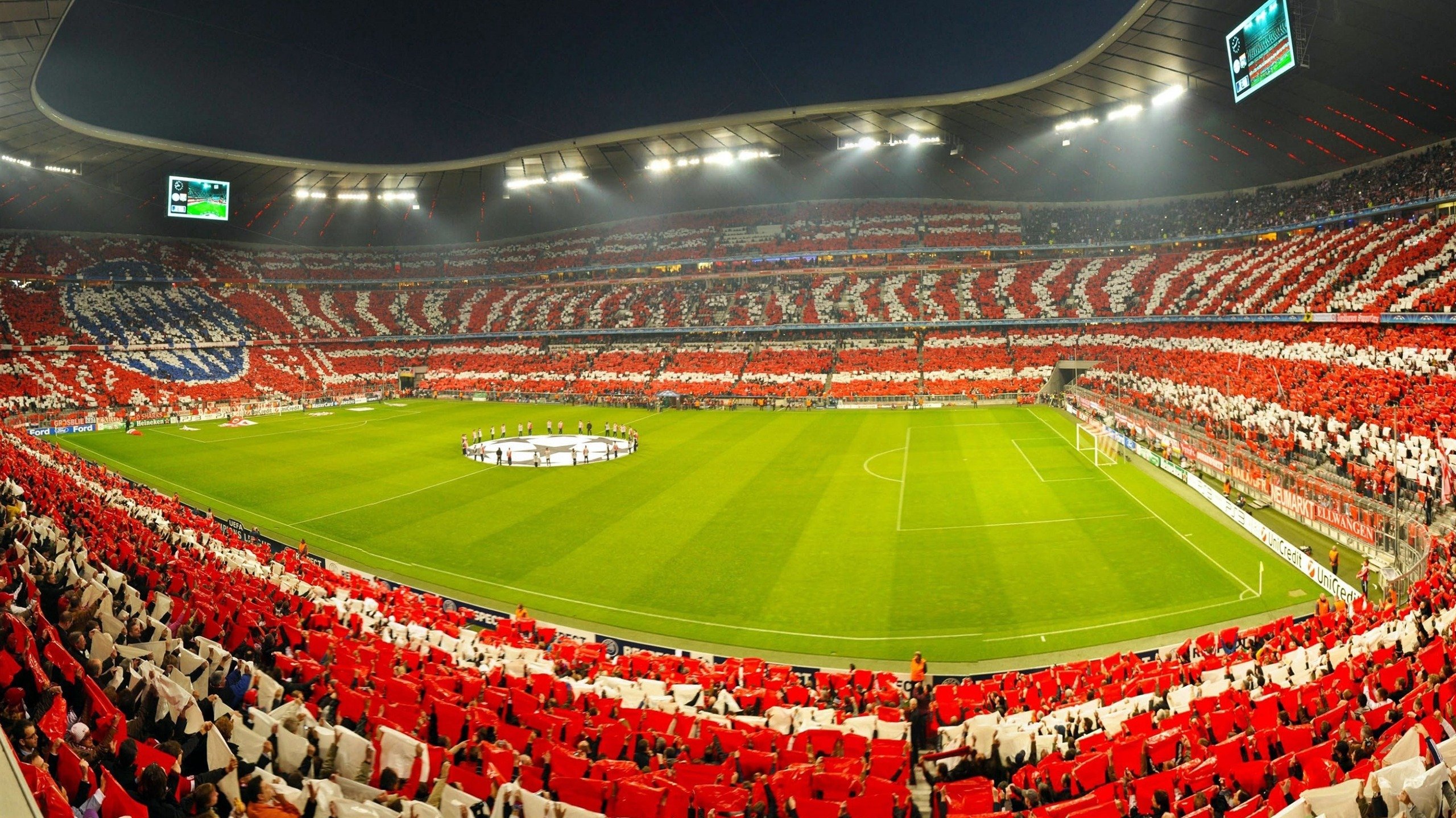 世界游泳世界杯北京站 李朱濠、汪顺多金收官 获称“水中多面手”